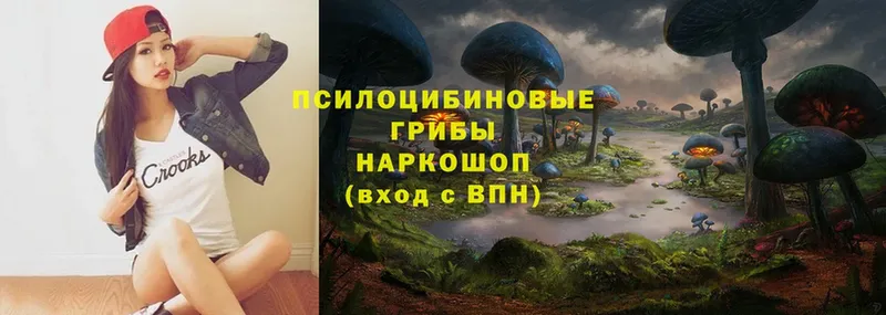 Галлюциногенные грибы Magic Shrooms  Абдулино 